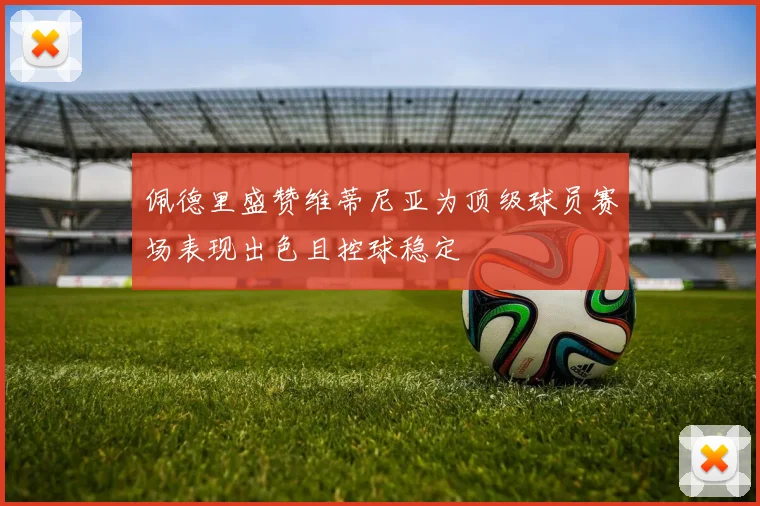 佩德里盛赞维蒂尼亚为顶级球员赛场表现出色且控球稳定